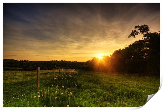 Dandelion Trail Sunset in Herefordshire Print by Steven Clements LNPS