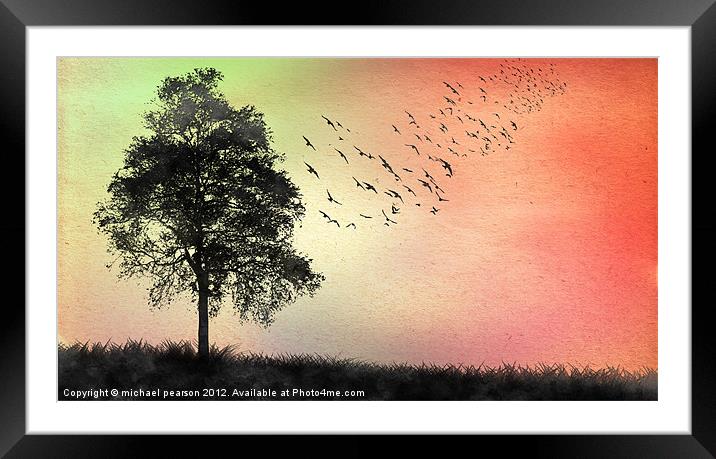 The Birds Framed Mounted Print by michael pearson