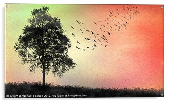 The Birds Acrylic by michael pearson