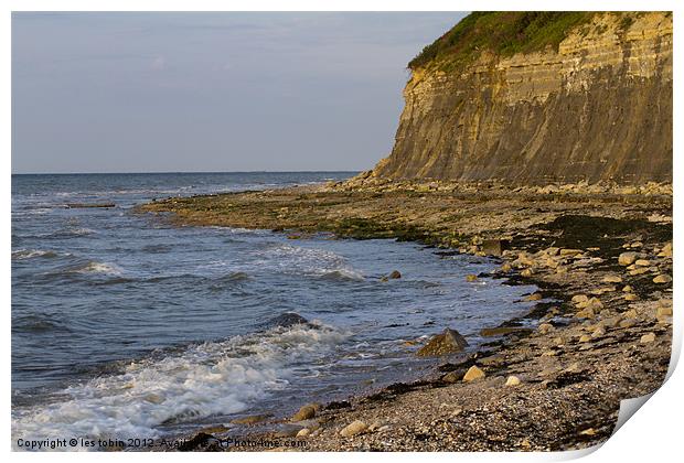 Shoreline Print by les tobin