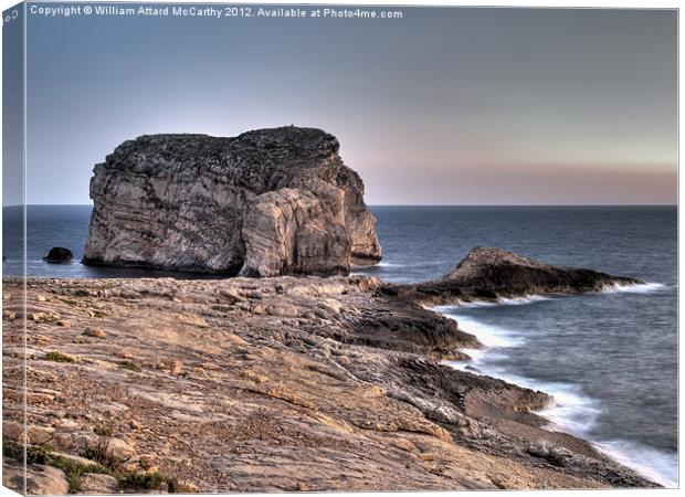 Fungus Rock Canvas Print by William AttardMcCarthy