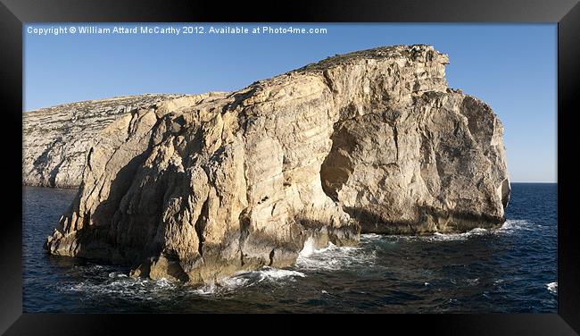 Fungus Rock Framed Print by William AttardMcCarthy