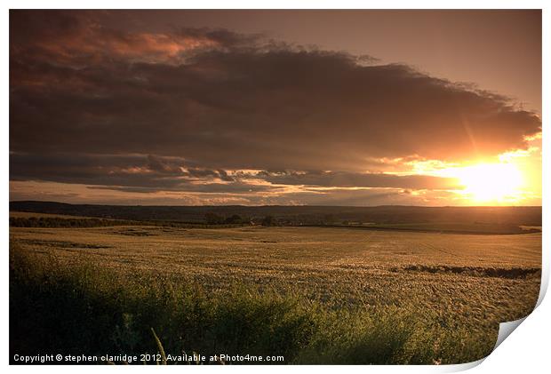 sunset over corn fields Print by stephen clarridge