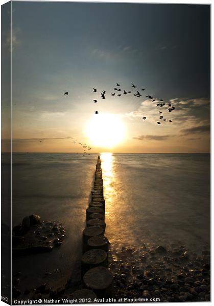 Sunset birds and sea logs Canvas Print by Nathan Wright