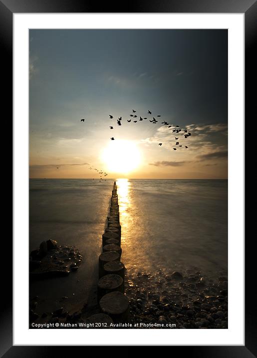 Sunset birds and sea logs Framed Mounted Print by Nathan Wright