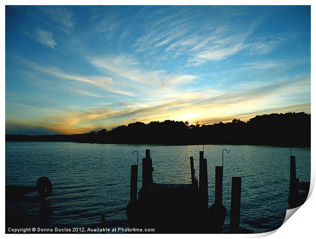 View from the dock Print by Donna Duclos