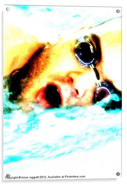 In the Swim Acrylic by Brian  Raggatt