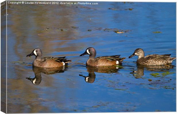 Ducks in a Row Canvas Print by Louise Heusinkveld