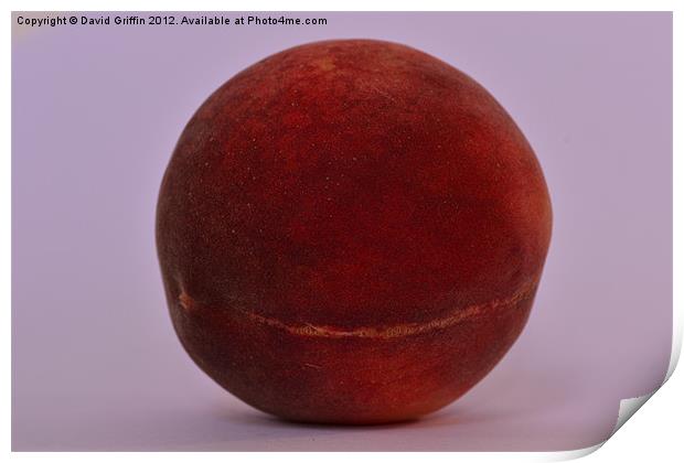 A ripe peach Print by David Griffin
