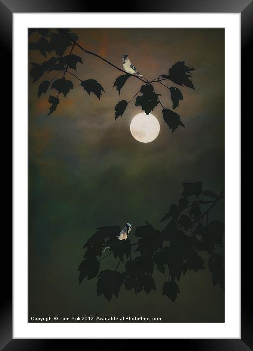 TOUCHED BY THE MOON Framed Mounted Print by Tom York