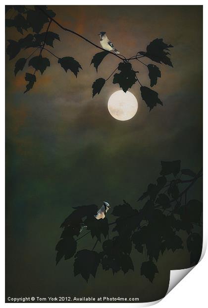 TOUCHED BY THE MOON Print by Tom York