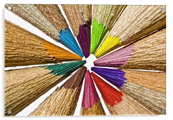 Colourful Pencil Points Closeup Acrylic by Steven Clements LNPS