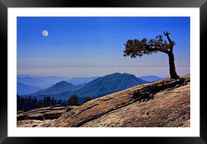 Lone Tree With Mountain View Framed Mounted Print by Steven Clements LNPS