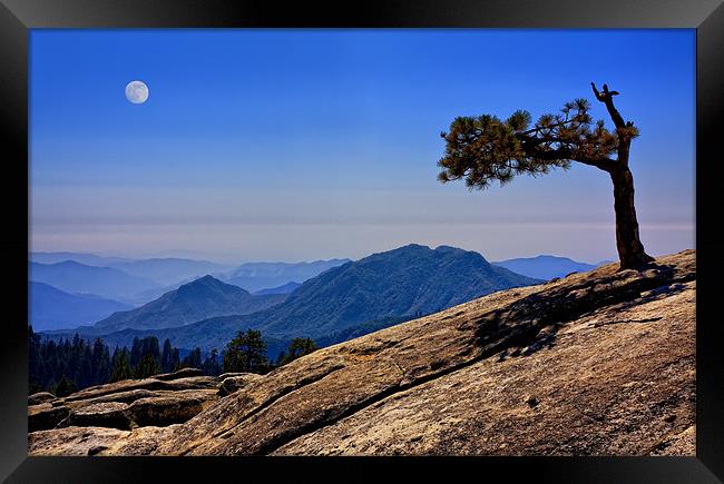 Lone Tree With Mountain View Framed Print by Steven Clements LNPS