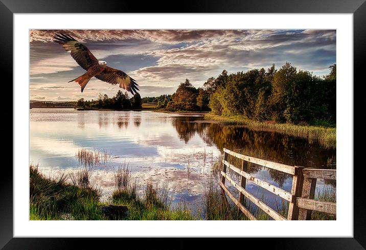 In Flight Framed Mounted Print by Sam Smith