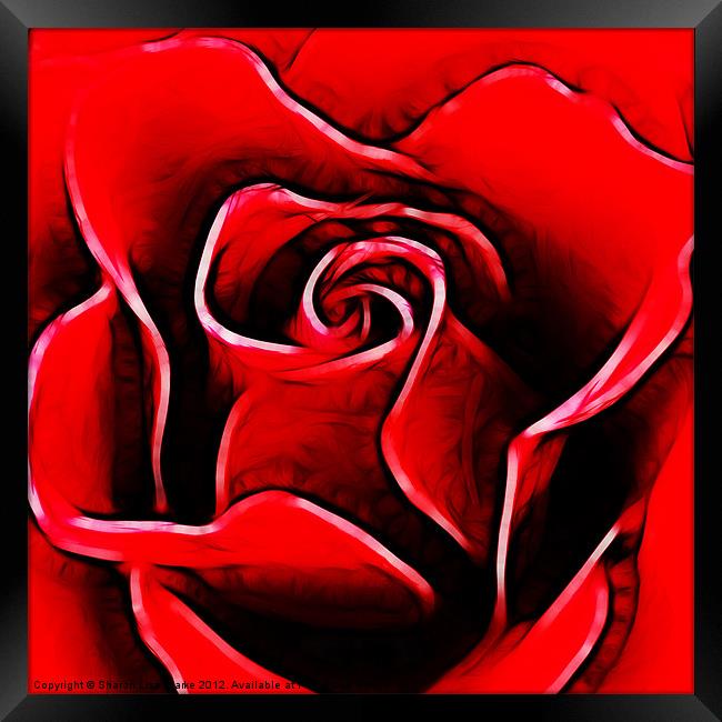 Red Rose Framed Print by Sharon Lisa Clarke
