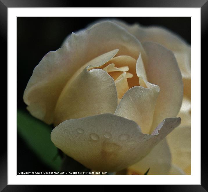 Blooming Framed Mounted Print by Craig Cheeseman