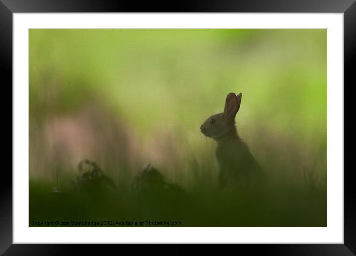 Rabbit obscured Framed Mounted Print by Izzy Standbridge