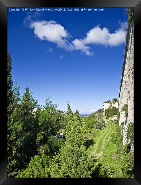 Outside the Bastions Framed Print by William AttardMcCarthy