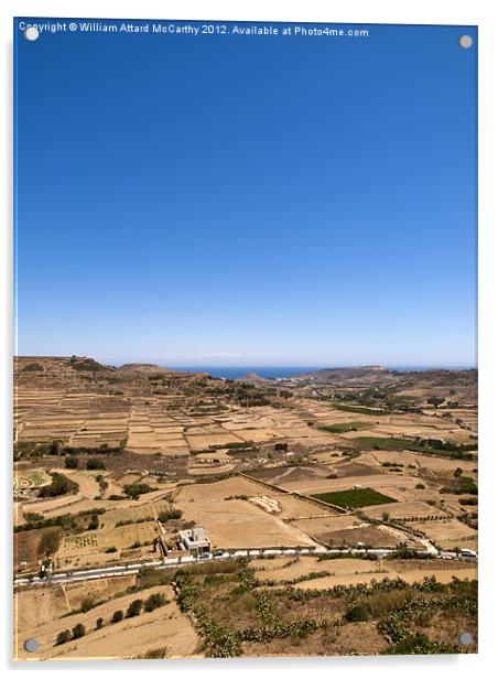 Gozo Landscape Acrylic by William AttardMcCarthy