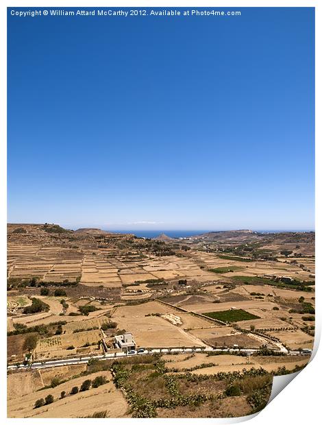 Gozo Landscape Print by William AttardMcCarthy