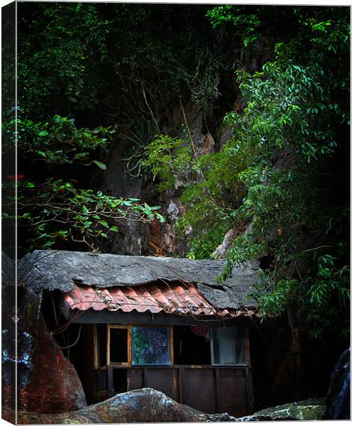 Derelict hut in Thailand Canvas Print by David Worthington