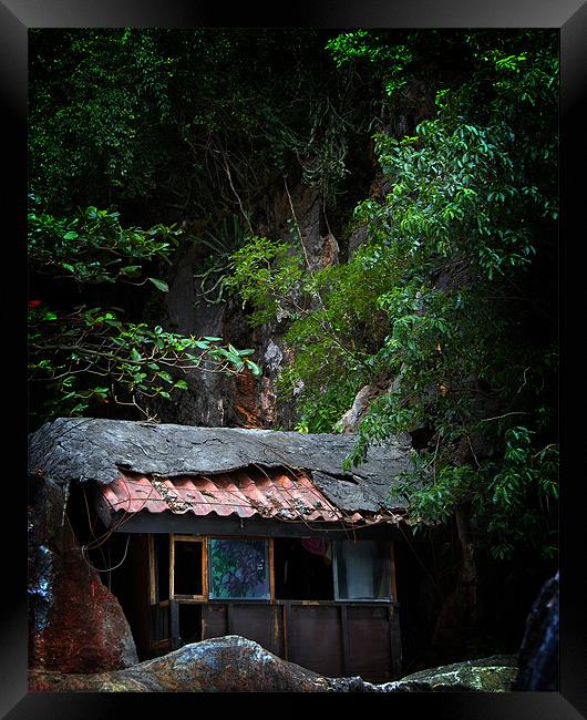 Derelict hut in Thailand Framed Print by David Worthington