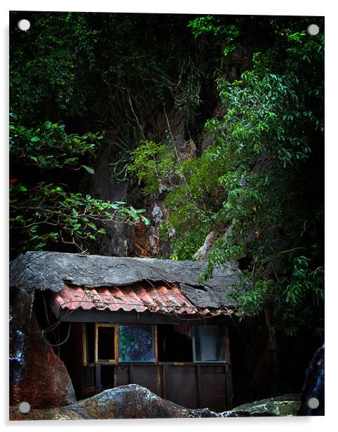Derelict hut in Thailand Acrylic by David Worthington