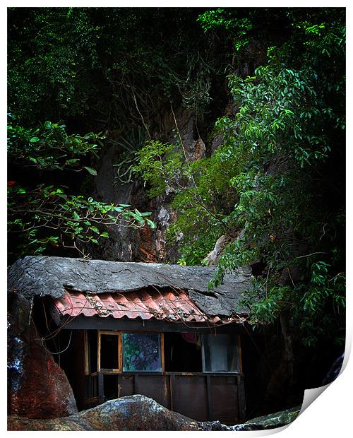 Derelict hut in Thailand Print by David Worthington