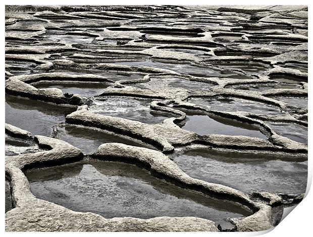 Saltpans Print by William AttardMcCarthy