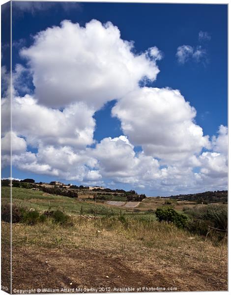 Malta Countryside Canvas Print by William AttardMcCarthy