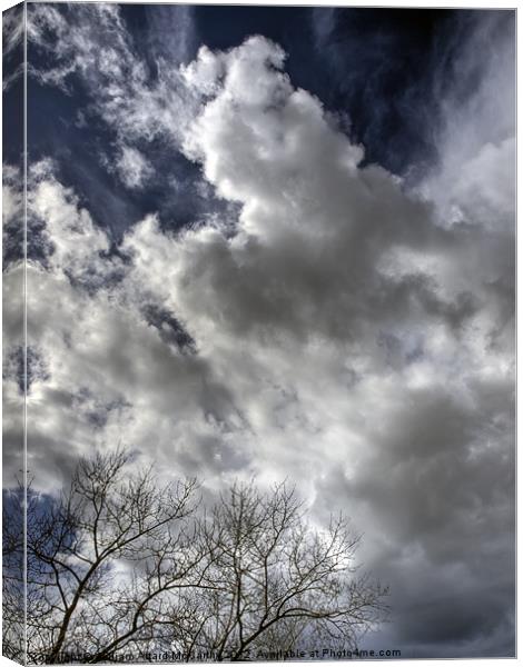 Clouds and Tree Canvas Print by William AttardMcCarthy