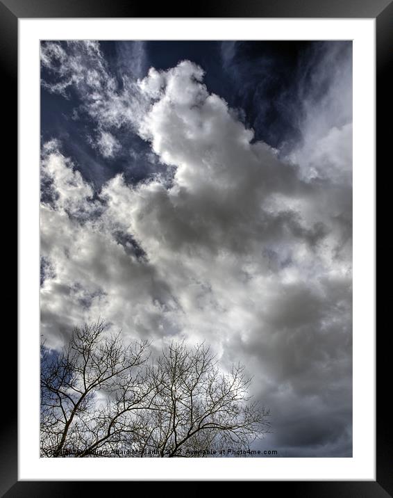 Clouds and Tree Framed Mounted Print by William AttardMcCarthy