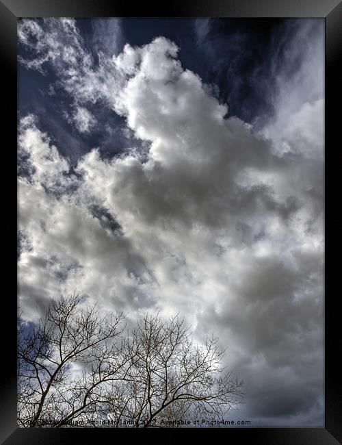 Clouds and Tree Framed Print by William AttardMcCarthy