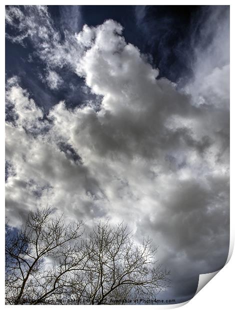 Clouds and Tree Print by William AttardMcCarthy