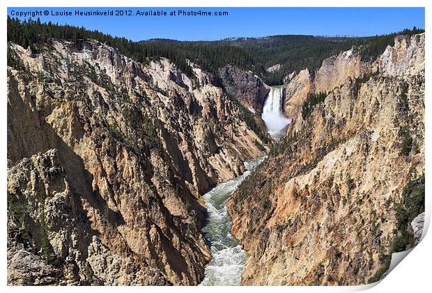 Yellowstone River Lower Falls Print by Louise Heusinkveld