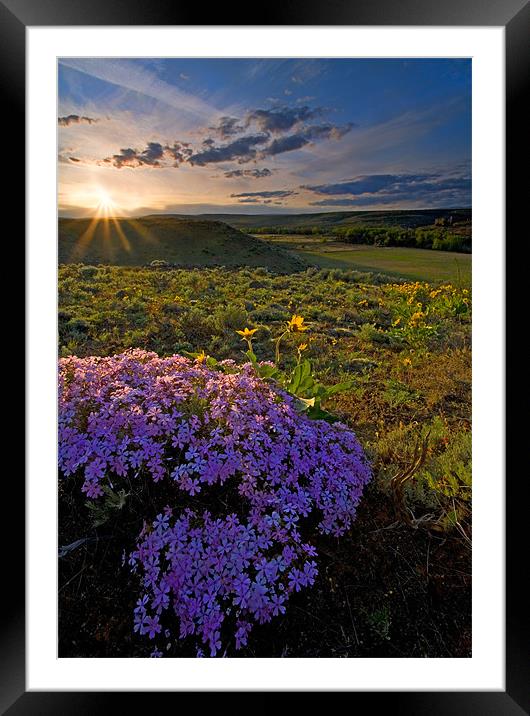 Last Light of Spring  Framed Mounted Print by Mike Dawson