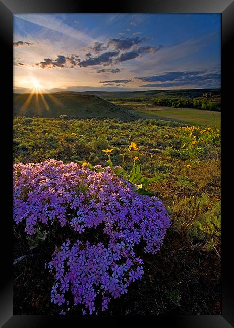 Last Light of Spring  Framed Print by Mike Dawson