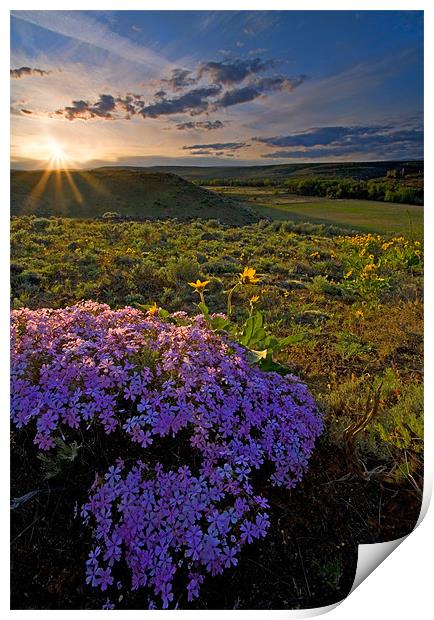 Last Light of Spring  Print by Mike Dawson