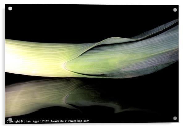 Leek on Black Acrylic by Brian  Raggatt