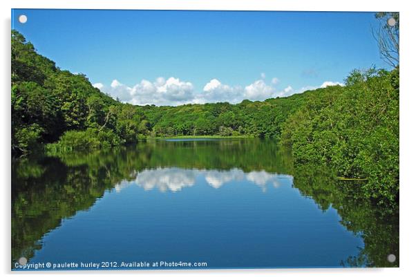 Bosherston Lily Ponds.Reflection. Acrylic by paulette hurley