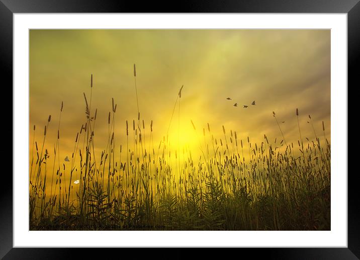 SUNSETS TO REMEMBER Framed Mounted Print by Tom York