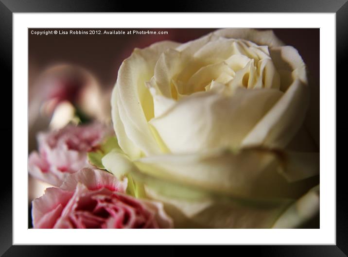 White Rose Framed Mounted Print by Loren Robbins