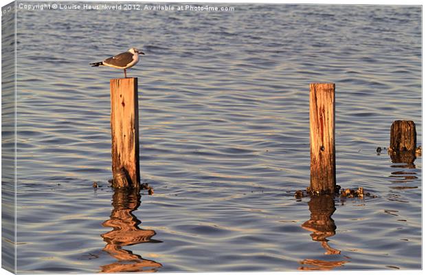Gull perching on a post at sunset Canvas Print by Louise Heusinkveld