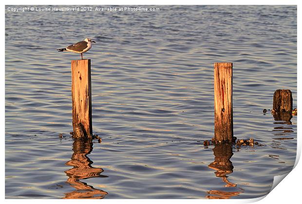 Gull perching on a post at sunset Print by Louise Heusinkveld
