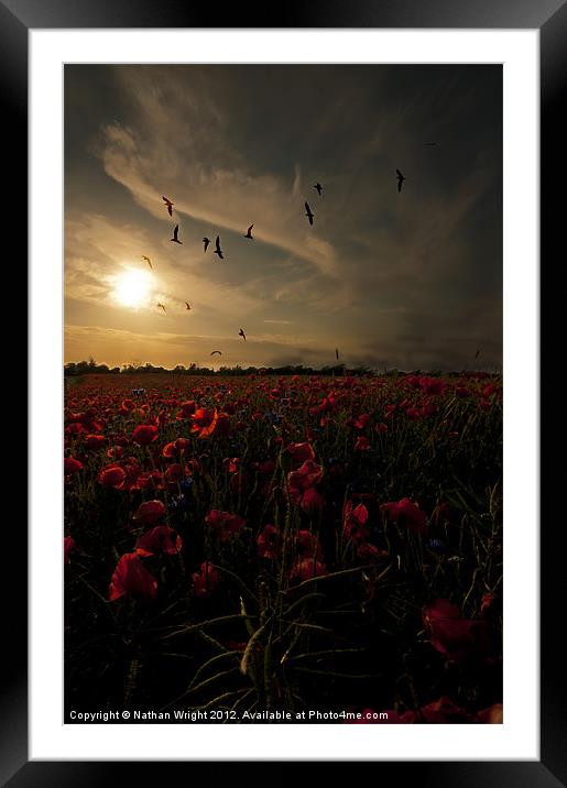 Red wild sunset Framed Mounted Print by Nathan Wright