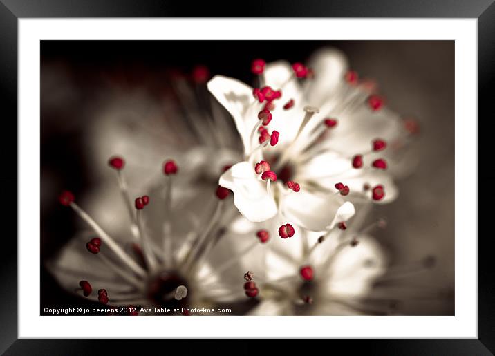 business is blooming Framed Mounted Print by Jo Beerens