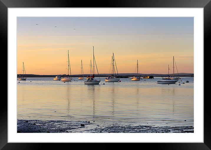 Yachts in the Light Framed Mounted Print by Jennie Franklin
