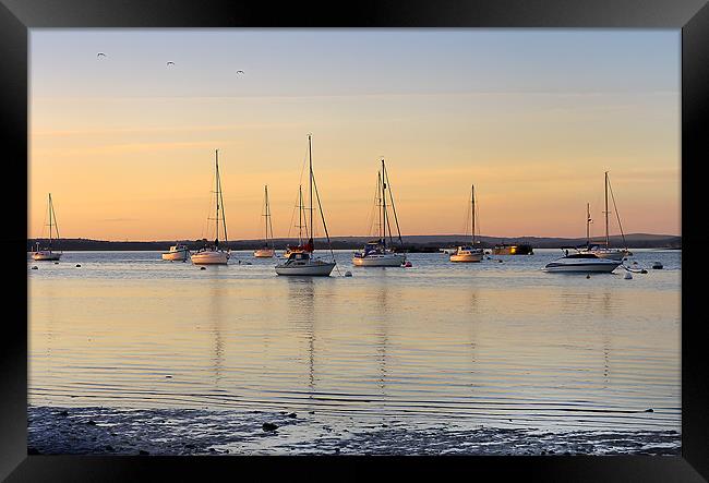 Yachts in the Light Framed Print by Jennie Franklin