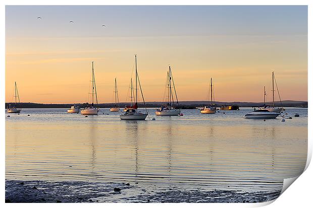 Yachts in the Light Print by Jennie Franklin